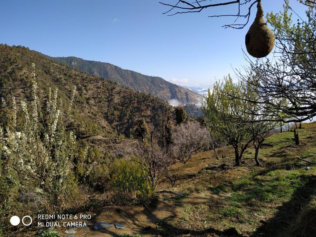 In Apple Estate Kanatal - Himalayan View Resort With Courteous Staff Zewnętrze zdjęcie