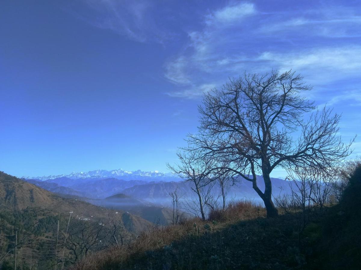 In Apple Estate Kanatal - Himalayan View Resort With Courteous Staff Zewnętrze zdjęcie
