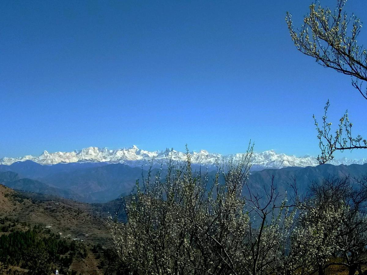 In Apple Estate Kanatal - Himalayan View Resort With Courteous Staff Zewnętrze zdjęcie
