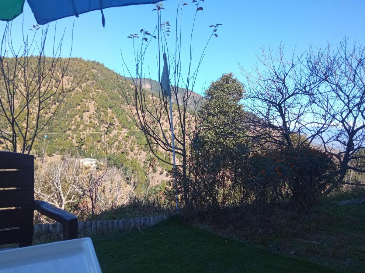 In Apple Estate Kanatal - Himalayan View Resort With Courteous Staff Zewnętrze zdjęcie